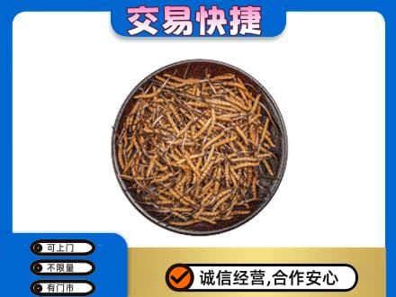 丽江市古城高价回收散虫草